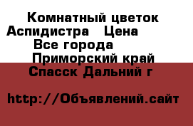 Комнатный цветок Аспидистра › Цена ­ 150 - Все города  »    . Приморский край,Спасск-Дальний г.